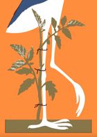 Українська сучасна проза. 25 найкращих оповідань. Image №4