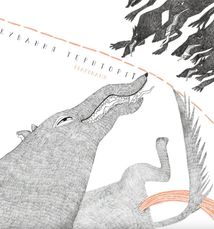 Мої кордони. Image №7