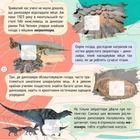 100 цікавинок. Динозаври. Image №5