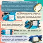 100 цікавинок. Динозаври. Image №7