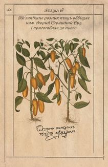 Алхімічний діарій. Image №3