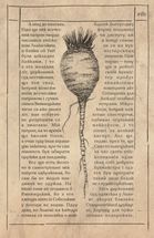 Алхімічний діарій. Image №7