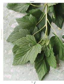 Ukraine. Food and History. Image №2