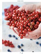 Ukraine. Food and History. Image №8